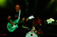 Githead 25/09/09 - Strasbourg